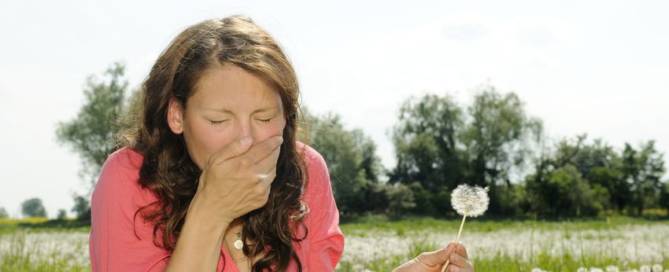 Spring Hay Fever