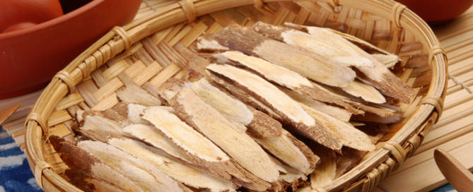 Traditional Chinese Medicine - Astragalus root (Astragalus membranaceus)